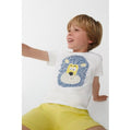 SET CAMISA LEON