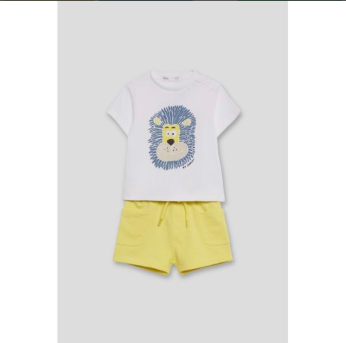 SET CAMISA LEON